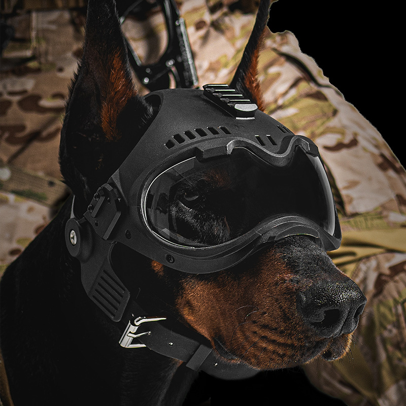 Tactical Dog Training K9 Helme - огляд і ціна Motorcycle Gear Dogs