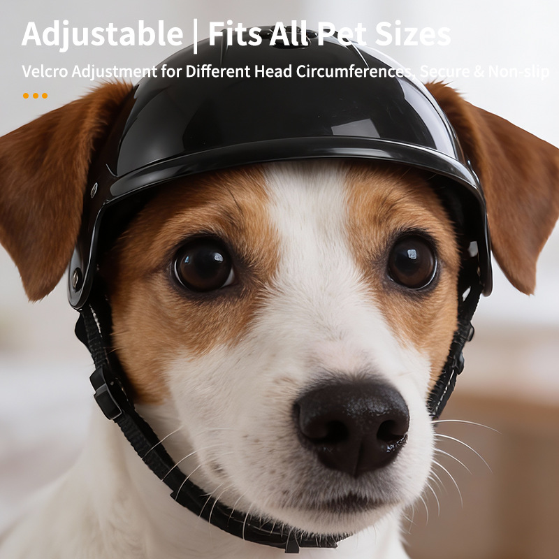 Pet Helmet for Dogs Cats Motor - огляд і ціна Motorcycle Gear Dogs