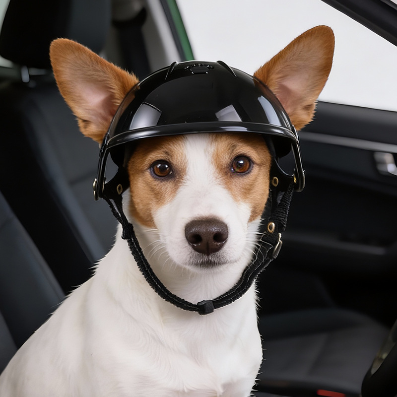 Pet Helmet for Dogs Cats Funny - огляд і ціна Motorcycle Gear Dogs