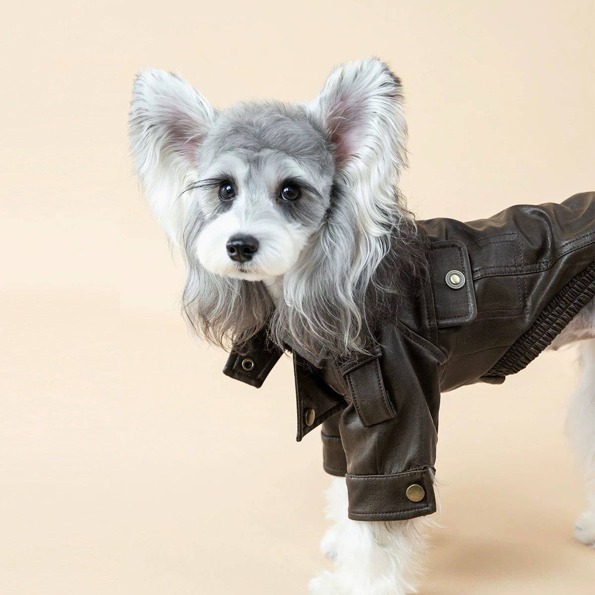 Autumn PU Leather Dog Jacket B - огляд і ціна Motorcycle Gear Dogs