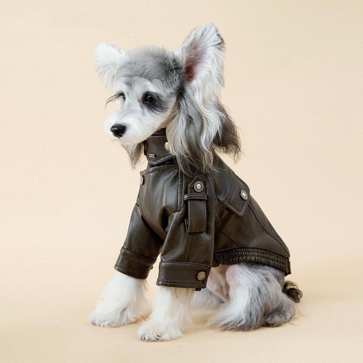 Autumn PU Leather Dog Jacket B - огляд і ціна Motorcycle Gear Dogs
