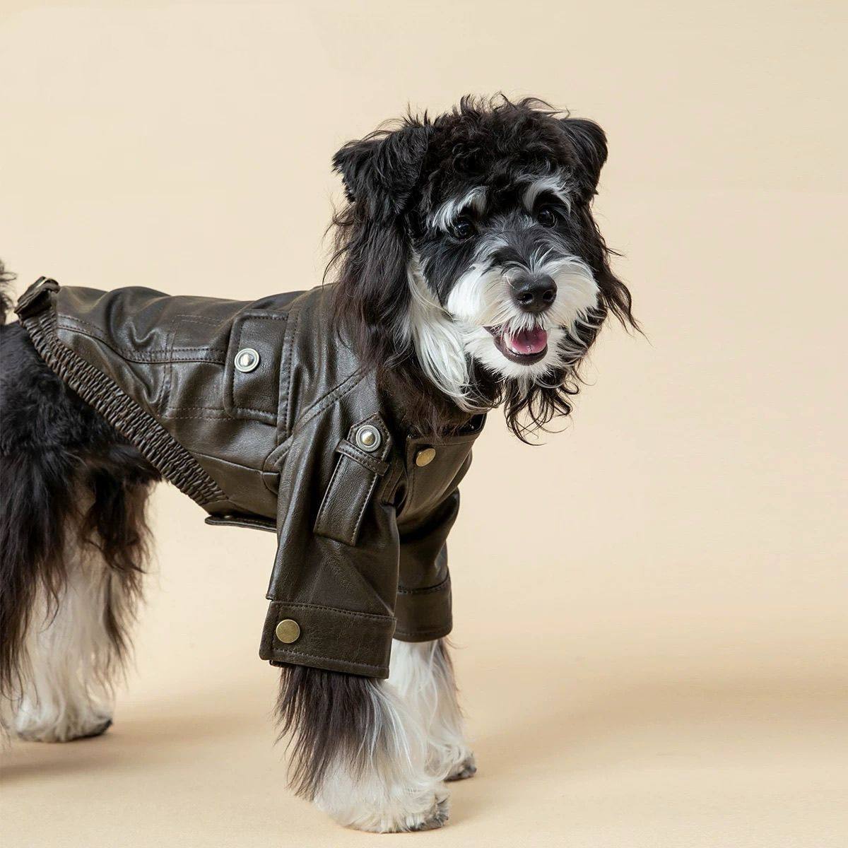 Autumn PU Leather Dog Jacket B - огляд і ціна Motorcycle Gear Dogs