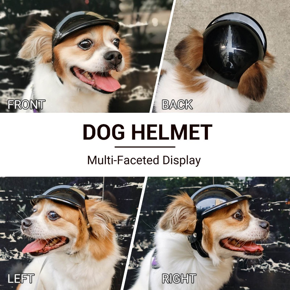 Funny Adjustable Dog Cat Helme - огляд і ціна Motorcycle Gear Dogs